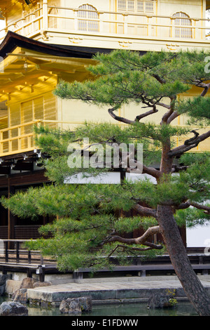 Détail de la paisible Pavillon doré ou jardin Temple Kinkakuji à Kyoto, Japon Banque D'Images