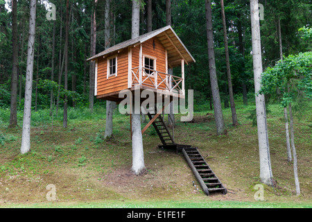 Maison de l'arbre en bois à distance dans la forêt Banque D'Images