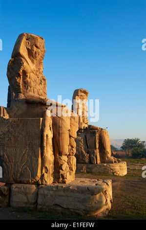 Colosses de Memnon, sculpté pour représenter la xviiième dynastie pharaon Aménophis III, rive ouest du Nil, à Thèbes, Egypte Banque D'Images