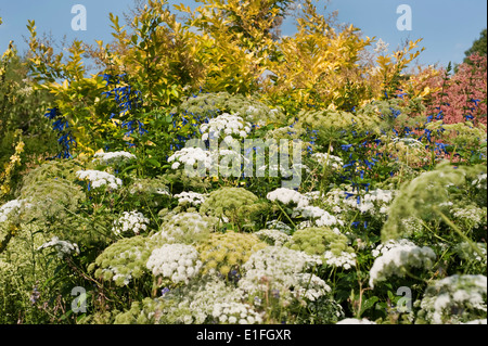 Les jardins créés par le jardinier Christopher Lloyd à Great Dixter dans la région de rye, East Sussex, Angleterre, Royaume-Uni. Banque D'Images