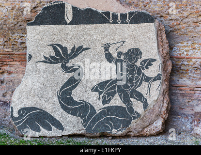 Rome, Italie. Thermes de Caracalla. Fragment de mosaïque de la palestre, libre de ce qui est peut-être un dauphin. Banque D'Images