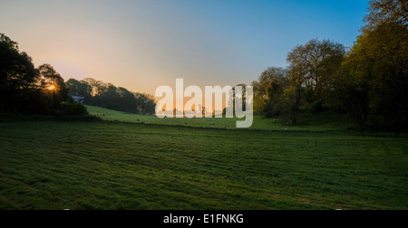 Campagne à l'aube dans le Devon. L'été. Ouest de l'Angleterre Angleterre UK Banque D'Images