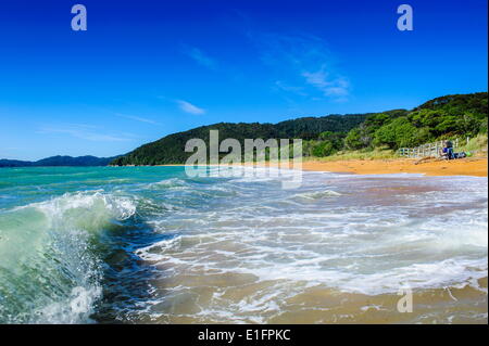 Longue plage de sable, parc national Abel Tasman, île du Sud, Nouvelle-Zélande, Pacifique Banque D'Images