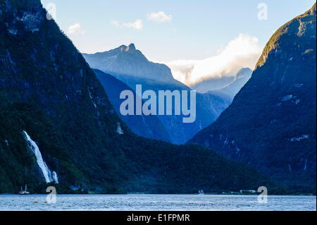 Tôt le matin dans la lumière Milford Sound, Fiordland National Park, site du patrimoine mondial de l'UNESCO, l'île du Sud, Nouvelle-Zélande, Pacifique Banque D'Images