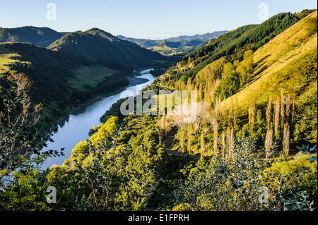 Vue sur le fleuve Whanganui dans la luxuriante campagne, rivière Whanganui road, North Island, Nouvelle-Zélande, Pacifique Banque D'Images