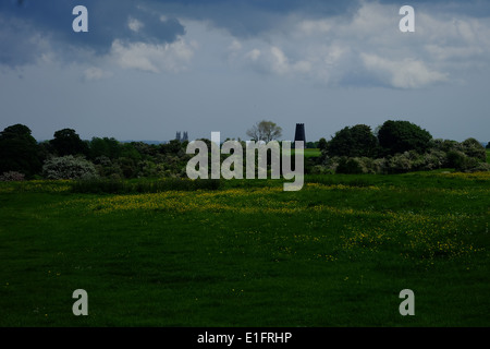 Avis de Beverley Minster et moulin noir de Beverley Westwood, couvert de renoncules. Banque D'Images