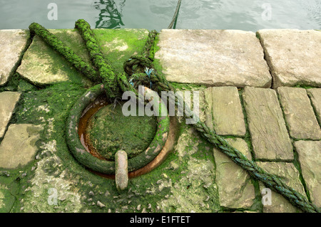 Anneau d'amarrage métalliques rouillées et on dock Banque D'Images