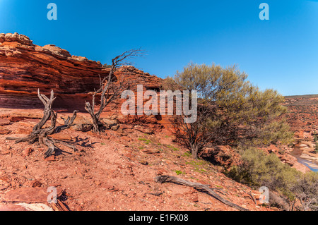 Parc national de KALBARRI, NATURE'S LA FENÊTRE, MURCHISON RIVER, AUSTRALIE OCCIDENTALE Banque D'Images