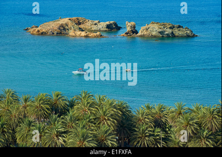 Grèce, Crete island, Plage et palmiers, est de la Crète Banque D'Images