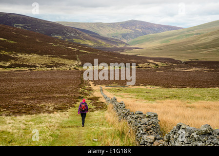 Walker sur la façon Cumbria près de Skiddaw House dans le Nord de la lande du Lake District Banque D'Images