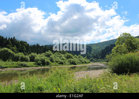 Beau paysage avec la vitesse de l'eau dans la rivière de montagne Banque D'Images