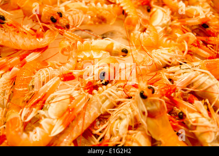 Langoustines dans un marché alimentaire de l'espagnol à Valence, Espagne Banque D'Images