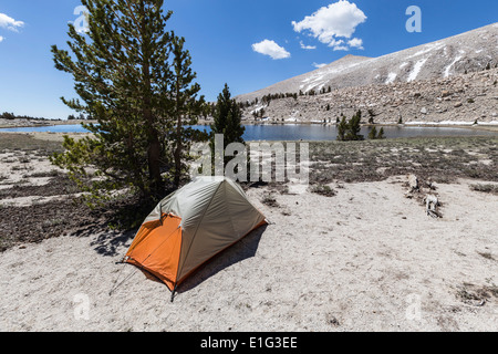 Backpackers pacifique site tente à pied 11 000 Lac Cirque in California's Sierra Nevada désert. Banque D'Images