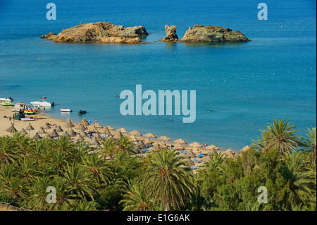 Grèce, Crete island, Plage et palmiers, est de la Crète Banque D'Images