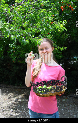 Belle fille la collecte des prunes vert pour manger Banque D'Images