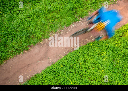 L'angle unique d'un vélo de montagne équitation un sentier avec les trèfles verts de chaque côté. Birds Eye View et un flou de mouvement en fait un Banque D'Images