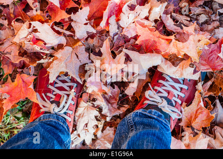 Chaussures rouges debout dans un grand nombre de feuilles d'érable tombé d'en haut Banque D'Images