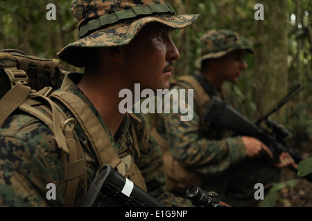 Les Marines américains observer la zone lors d'une patrouille en Recon Camp, Thaïlande, le 15 février 2011, dans le cadre de l'exercice 2011 Gold Cobra. C Banque D'Images