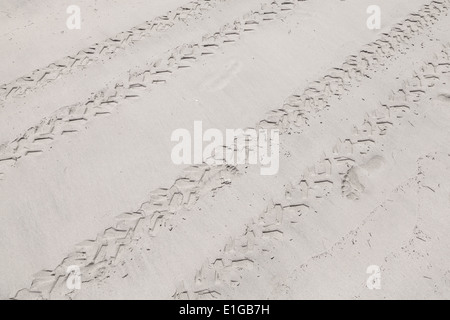 Les pistes de VTT sur la plage de sable blanc Banque D'Images