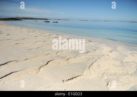 Une plage sur l'une des îles Glénan (Anglais : Îles des Glénan ou l'Archipel des Glénan, Breton : Inizi Glenan) qui sont un archipel situé au large des côtes françaises. Finistère, Bretagne, France, 28.mai 2014. Photo : Frank May/photo alliance Banque D'Images