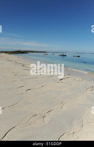 Une plage sur l'une des îles Glénan (Anglais : Îles des Glénan ou l'Archipel des Glénan, Breton : Inizi Glenan) qui sont un archipel situé au large des côtes françaises. Finistère, Bretagne, France, 28.mai 2014. Photo : Frank May/photo alliance Banque D'Images