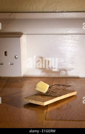 En bois à l'ancienne fromage jaune appâtés mousetrap avec crumb prêt à attraper une souris sur le plancher de chêne près de la prise d'électricité Banque D'Images