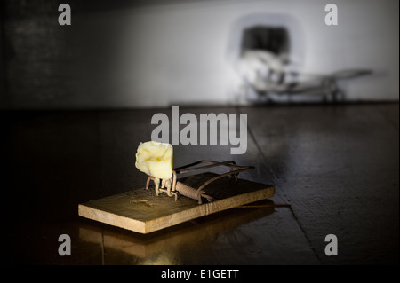 En bois à l'ancienne fromage jaune appâtés mousetrap avec crumb prêt à attraper une souris sur le plancher de chêne près de la prise d'électricité Banque D'Images