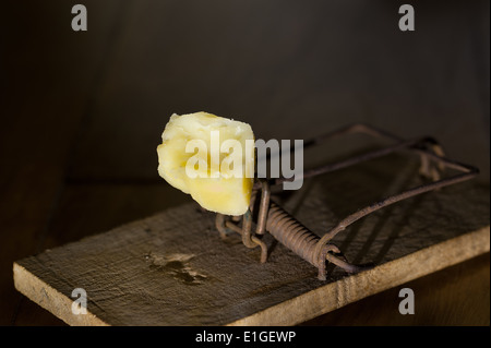 En bois à l'ancienne fromage jaune appâtés mousetrap avec crumb prêt à attraper une souris sur le plancher de chêne près de la prise d'électricité Banque D'Images