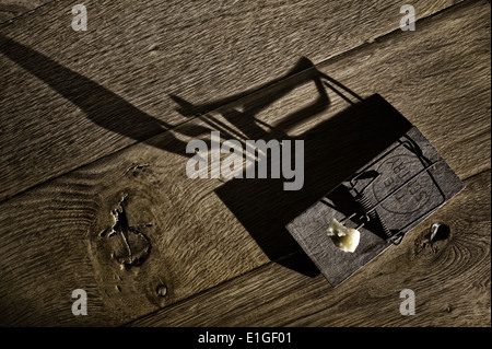 En bois à l'ancienne fromage jaune appâtés mousetrap avec crumb prêt à attraper une souris sur le plancher de chêne près de la prise d'électricité Banque D'Images