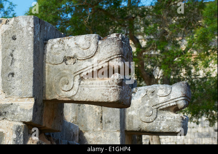 Le Mexique, l'état du Yucatan, Chichen Itza, site archéologique classé au patrimoine mondial de l'UNESCO, la tête de serpent, d'anciennes ruines maya Banque D'Images
