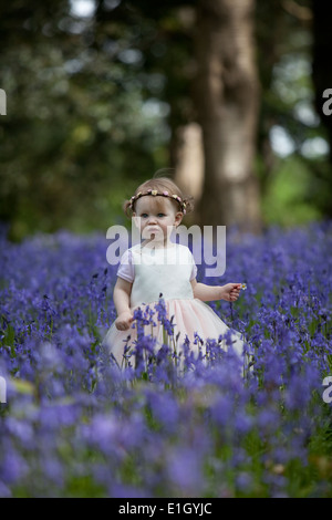 Petite fille debout dans un bois rempli de jacinthes. Banque D'Images