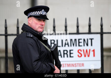 Agent de police armés dans la place du Parlement au cours de l'État Ouverture du Parlement, Westminster, Londres. Banque D'Images