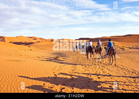 Caravanes de chameaux traversant les dunes de sable dans le désert du Sahara, le Maroc. Banque D'Images