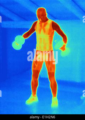 Image thermique de jeune homme de l'entraînement des athlètes avec des barres. L'image montre la chaleur produite par les muscles Banque D'Images