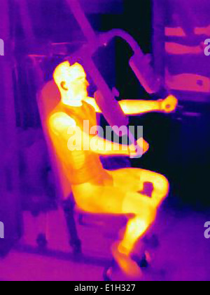 Image thermique de jeune homme de l'entraînement des athlètes sur machine d'exercice. Image montre la chaleur produite par les muscles au cours de la formation Banque D'Images