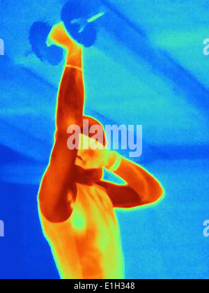 Image thermique de jeune homme de l'entraînement des athlètes avec barbell. L'image montre la chaleur produite par les muscles Banque D'Images
