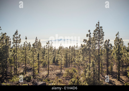 Vue du mont Teide en arrière-plan l'île de La Gomera, Tenerife, Canaries, Espagne Banque D'Images