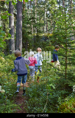 Quatre jeunes enfants errant dans la forêt Banque D'Images