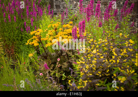 En bordure de fleurs herbacées Fléron garden Écosse UK Banque D'Images