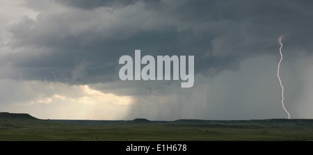 Des éclairs nuage-sol éclaire les Grandes Plaines à cet orage supercellulaire à maturation, Lamar, Colorado, USA Banque D'Images