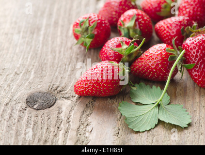 Fraises fraîches Banque D'Images