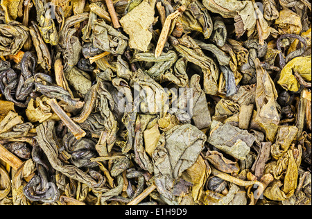 Feuilles de thé vert séchées close up l'arrière-plan. Banque D'Images