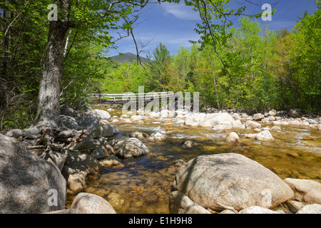 North Fork junction, passerelle qui traverse la branche est de la rivière Pemigewasset le long du sentier des chutes de Thoreau dans Pemigewasset Wilderness, NH. Banque D'Images