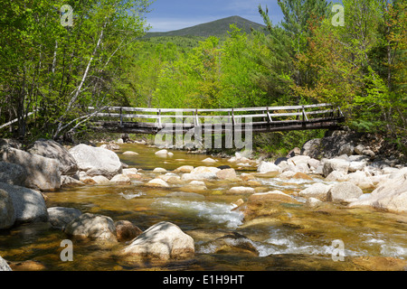 North Fork junction, passerelle qui traverse la branche est de la rivière Pemigewasset le long du sentier des chutes de Thoreau dans Pemigewasset Wilderness, NH. Banque D'Images