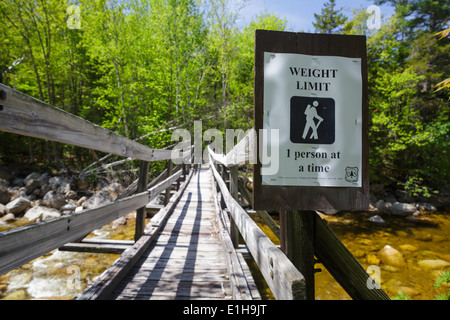 North Fork junction, passerelle qui traverse la branche est de la rivière Pemigewasset le long du sentier des chutes de Thoreau dans Pemigewasset Wilderness, NH. Banque D'Images