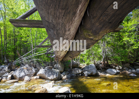 North Fork junction, passerelle qui traverse la branche est de la rivière Pemigewasset le long du sentier des chutes de Thoreau dans Pemigewasset Wilderness, NH. Banque D'Images