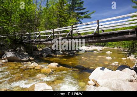 North Fork junction, passerelle qui traverse la branche est de la rivière Pemigewasset le long du sentier des chutes de Thoreau dans Pemigewasset Wilderness, NH. Banque D'Images