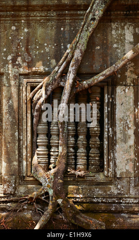 Les racines des arbres en croissance Beng Mealea temple hindou, XIIÈME Siècle, Royaume du Cambodge Banque D'Images