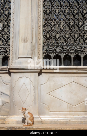 Détail de l'officine de l'eau avec le cat, Sulayman Agha al Silahdar mosquée, Le Caire, Egypte Banque D'Images