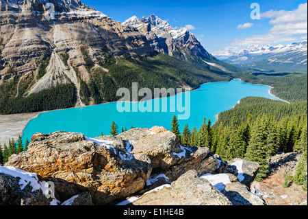 Le lac Peyto dans les Rocheuses canadiennes dans le parc national de Banff, Alberta Banque D'Images